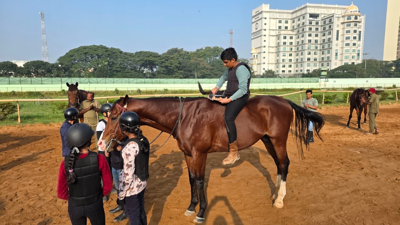 2025-11-16 (13).jpeg